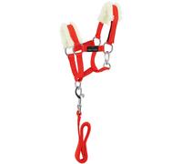 Ensemble licol et longe pour cheval Equithème Pony Academy Rouge TU