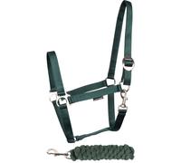 Ensemble Licol et longe pour cheval Harry's Horse Initial Vert Poney
