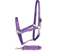 Ensemble Licol et longe pour cheval Harry's Horse Initial Violet Shetland