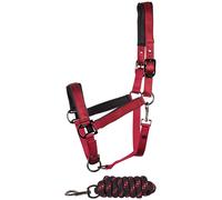 Ensemble licol et longe pour cheval Harry's Horse Satin Eli Rouge Cob