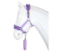 Ensemble Licol et longe pour cheval HORKA Angel Violet Shetland