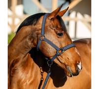 Ensemble licol et longe pour cheval Horseware Amigo Bleu Cheval