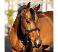 Ensemble licol et longe pour cheval Horseware Amigo Noir Cheval