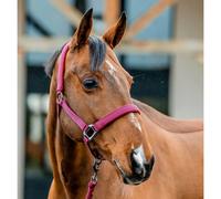 Ensemble licol et longe pour cheval Horseware Amigo Rouge Cob