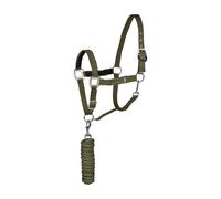 Ensemble licol et longe pour cheval Horze Chicago Vert Poney