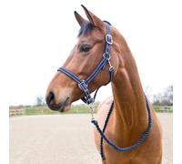 Ensemble licol et longe pour cheval Horze Cooper Bleu Full
