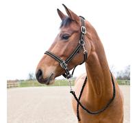 Ensemble licol et longe pour cheval Horze Cooper Noir Cob