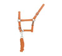 Ensemble licol et longe pour cheval nylon refléchissante Supreme Orange Full