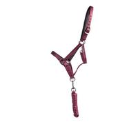 Ensemble licol et longe pour cheval QHP Lily - bordeaux - Cob
