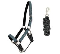 Ensemble licol et longe pour cheval QHP Vert Mini-Shetland