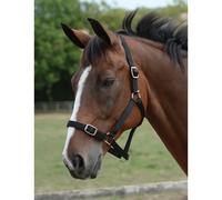 Ensemble licol et longe pour cheval Roma Noir Full