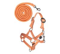 Ensemble licol et longe pour hobby Horse HKM Kids Basic Orange TU