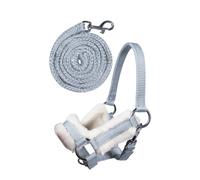 Ensemble licol et longe pour hobby Horse HKM Kids Gris TU