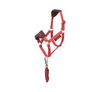 Ensemble licol et longe pour Hobby Horse LeMieux Vogue Rouge TU
