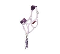 Ensemble licol et longe pour Hobby Horse LeMieux Vogue Violet TU