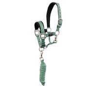 Ensemble licol et longe pour poney BR Equitation Vert Poney