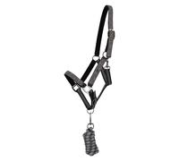 Ensemble licol et longe QHP Gris Poney