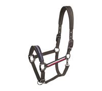 Ensemble licol et longe Tommy Hilfiger Equestrian Yale Beige Cob