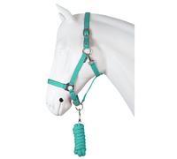 Ensemble licol pour cheval dime HORKA Vert Full