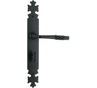 Ensemble Loire BRIONNE noir condamnation - Porte 40 Entraxe 195 Axe 70 - 6911243NR