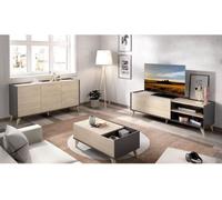 Ensemble meuble TV table basse buffet NESS - Mélaminé - Style scandinave - Chene naturel et graphite