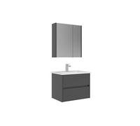 Ensemble Meuble Vasque avec Miroir Arno 65 MDF PET Brillant 65x45x52 cm Grey