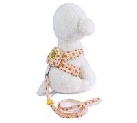 Ensemble Mignon de Harnais et de Laisse pour Petit Chien, Harnais pour Chiot sans Traction, Gilet réglable pour Chien, Maille Douce et Respirante (Poitrine Orange 38_40 cm)