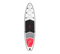Ensemble Paddle Pure4Fun Basic SUP 320 Gris TU