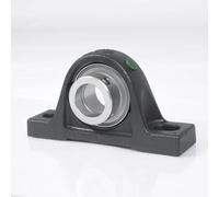 Ensemble palier à semelle RASEY25 -VA-FA118.34 25mm Vis sans tête INA