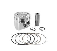 Ensemble Piston Kit Anneau Pour FZR250 FZ250 1HX Pièces De Moteur De Moto STD~50 Alésage Du Cylindre 48 Mm 48,25 Mm 48,5 Mm Pistons Et Segments(1 set piston 48.25mm)