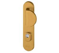 Ensemble poignée de porte aileron blindée sur plaque standard eSSENTIAL Bricard entraxe 195mm brossé or