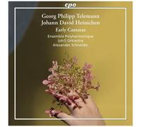 Ensemble Polyharmonique - Heinichen & Telemann: Early Cantatas [Compact Discs]