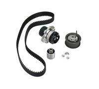 Ensemble pompe à eau + tendeur de courroie de distribution compatible avec Audi A3 A4 A6 pour VW pour GOLF pour PASSAT 1.9/2.0 TDi 1131812 1221490