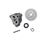 Ensemble pompe à huile for HS 800 1000 S1000 TA1000 ATV 800H St800H 800GT LU029751 P010000151100000