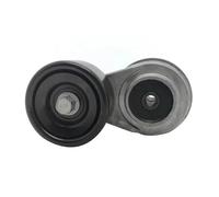 Ensemble Poulie Tendeur Courroie Moteur Pour HYUNDAI Pour KIA 252812B000 252812B010 Tendeur de courroie