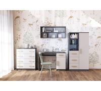Ensemble pour chambre d'enfant Étagère murale Commode Bureau gris/blanc avec poignées sonoma Jonas I 05