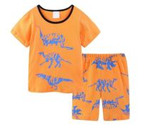 Ensemble pour Petit Garcon T Shirt Manche Courte Et Short en Coton avec Impression Mignon Cartoon pour Ete De 2 A 8 Ans Plusieurs Modeles Disponibles Tops Imprimé Floral Shorts Tenue 2 pièces