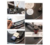 Ensemble professionnel 12 en 1 pour platines et kit de nettoyage de luxe pour disques vinyles Silver