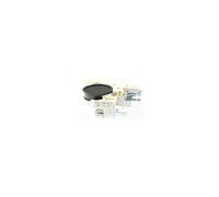Ensemble Relais Klixon Pour Refrigerateur Ikea - 242561001