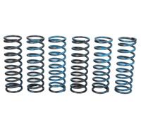 Ensemble ressort embrayage TRW MEF313-6 pour BMW F 0.7 2008-2008