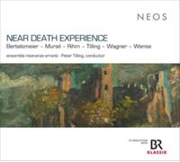 ENSEMBLE RISONANZE E - NEAR DEATH EXPERIENCE - cd - G4z