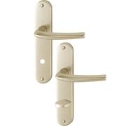 Ensemble San Diego grand model type à condamnation finition F2 alu aspect champagne - HOPPE - 3559811