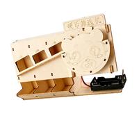 Ensemble scientifique interactif en bois pour trieur de pièces de monnaie pour enseigner les principes de physique aux enfants et étudiants Assemblage amusant