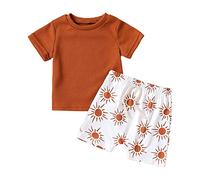 Ensemble Short Tee Shirt Bébé Garçon 3 Mois-18 Mois Ensemble de Vêtements pour Tout-Petits Garçons T-Shirts à Manches Courtes+ Short Imprimé Dinosaure Tenue 2 Pièces Décontracté (Coffee, 12-18 Months)