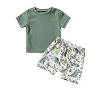 Ensemble Short Tee Shirt Bébé Garçon 3 Mois-18 Mois Ensemble de Vêtements pour Tout-Petits Garçons T-Shirts à Manches Courtes+ Short Imprimé Dinosaure Tenue 2 Pièces Décontracté (Green, 12-18 Months)