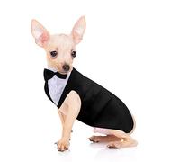 Ensemble Smoking et Bandana pour Chien - Costume de fête de Mariage avec nœud Papillon et Chemise pour Mariage, Noël, Anniversaire (Style Mignon, Taille S)