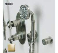 Ensemble sortie murale avec support orientable, flexible 150, douchette Liberty-Gom Or - Bossini C17001C021