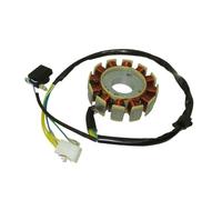 Ensemble stator Bobines D'allumage À 12 Pôles Stator Magneto pour Moteur pour GY6 125cc 150cc Cyclomoteur Scooter