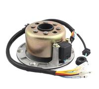 Ensemble stator Rotor De Stator De Magnéto De Moto pour Zongshen 150cc 155cc