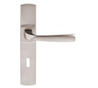 Ensemble sur grande plaque MUZE type clé L finition platine VACHETTE 086425